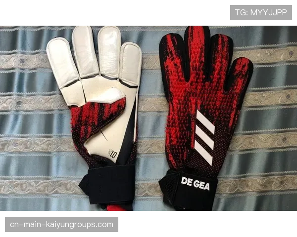 冠军球队更衣室文化对外公开，展现团队凝聚力，更衣室落场球衣